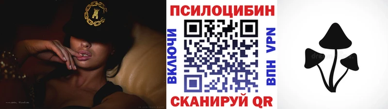 наркота  Струнино  Псилоцибиновые грибы ЛСД 
